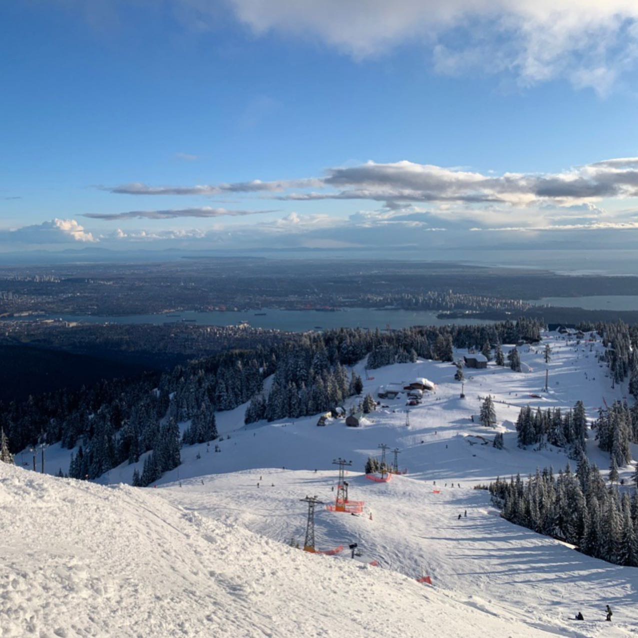 Grouse Mountain - the Peak of Vancouver, BC 5
